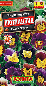 Фиалка_Шотландия см_0,1_г._Аэлита