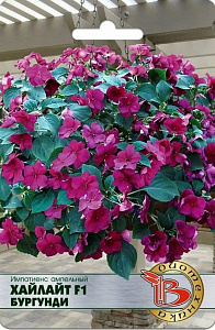 Бальзамин_Хайлайт Бургунди F1 (амп)_0,04_шт._Биотехника