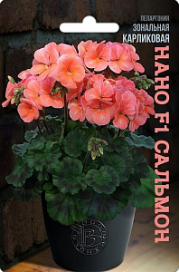 Герань (Пеларгония)_Нано F1 Сальмон (карликовая )_5_шт._Биотехника