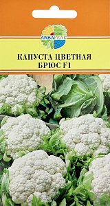 Капуста_цветная_Брюс F1_15_шт._Акварель