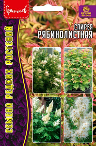 Спирея_Рябинолистная б/ф_0,02_г._Григорьев