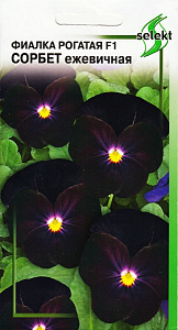 Фиалка_Сорбет Ежевичная (рогатая)_7_шт._Дом Семян С-П