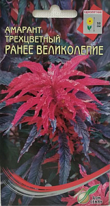 Амарант_Раннее Великолепие (трёхцветный)_0,04_шт._Дом Семян С-П