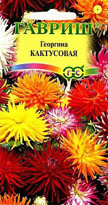 Георгин_Кактусовая см_0,2_г._Гавриш