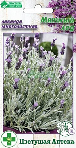 Лаванда_Мятный Лед (многолистная) (Цветущая Аптека)_0,04_шт._ЕВРОСЕМЕНА