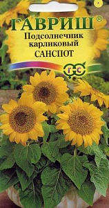Подсолнечник декоративный_Санспот карликовый_0,5_г._Гавриш