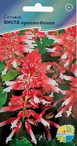 Сальвия (шалфей)_Виста красно-белая (виста ред вайт)_7_шт._Акварель