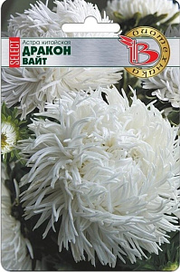 Астра_Дракон Селект Дак Блю (хризантемовидная)_30_шт._Биотехника