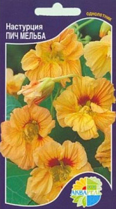 Настурция_Пич Мельба_30_шт._Акварель