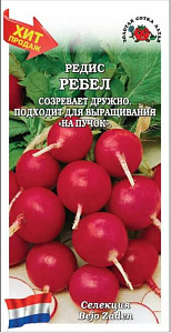 Редис_Ребел (Голландия)_1_г._Золотая Сотка Алтая