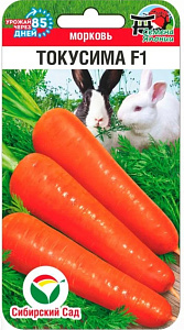 Морковь_Токусима F1 (Япония)_120_шт._Сибирский Сад