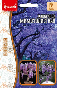 Жакаранда (джакаранда)_Мимозолистная (бонсай) б/ф_5_шт._Григорьев