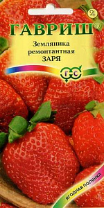 Земляника_Заря (кл)_0_г._Гавриш