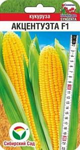 Кукуруза_Акцентуэта F1 (Syngenta)_5_шт._Сибирский Сад