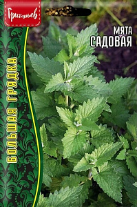 Мята_Садовая б/ф_0,05_г._Григорьев