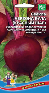 Свекла_Червона Кула (Красный Шар)_2_г._Уральский Дачник