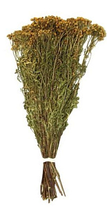 Трава-запарник ПИЖМА  XXL