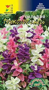 Сальвия (шалфей)_Триколор см (хорминовая)_0,04_г._Цветущий Сад